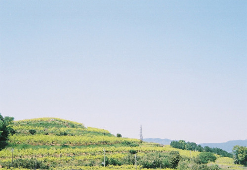 englishsnow:   miyuklm 