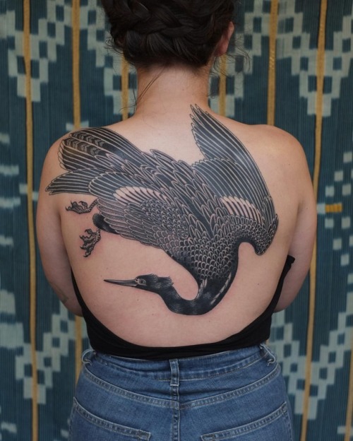 electrictattoos: victortattoo:Anhinga for the incredibly talented @beccabarnet, thank you for your s