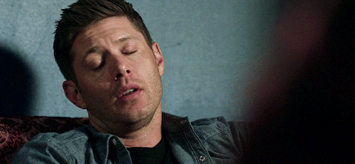 ludi-lin: #mood when you realise you literally are dean