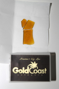 purloiner:  Half gram of Gold Coast Extracts