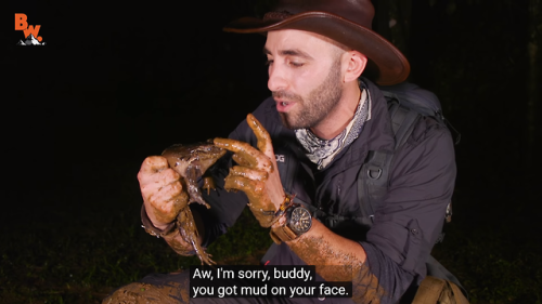 hitamory-dead-blog:All you need to know about coyote peterson is that i would die for him