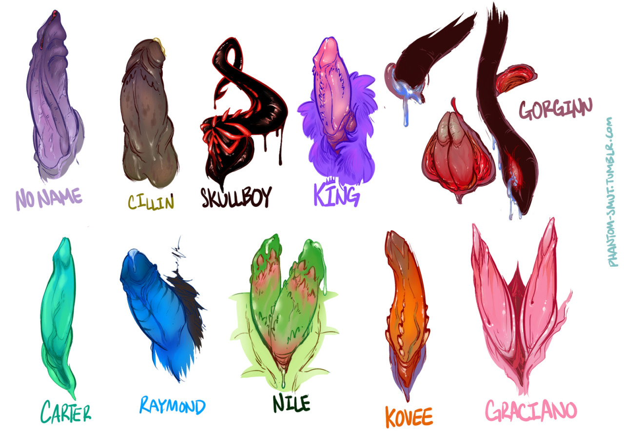 phantom-smut:  Made a handy dandy OC dick reference line up! These are mostly all