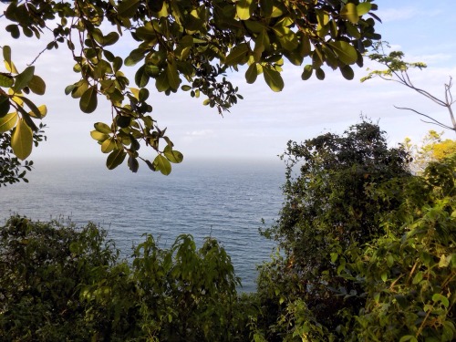 theeyeoftroy:As far as the eye can see. Trinidad, chaguaramas.  Copyright 2016 Troy De Chi. All righ