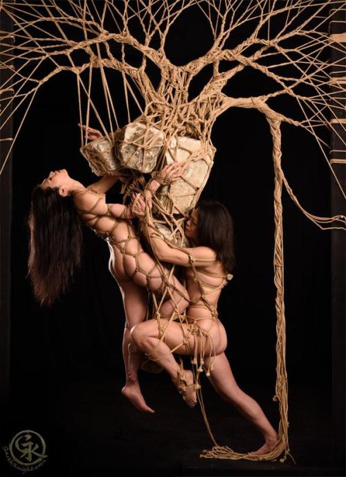 shibarihowto:  Reminds me of Douglas Kents work.