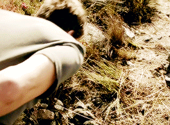 stevebarness:  Sebastian Stan tied up and bloody in Labyrinth (◕‿◕✿) 