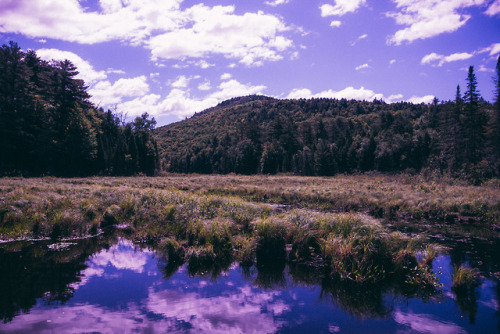 Backpacking in the AdirondacksDan DonnarummaInstagram l Tumblr