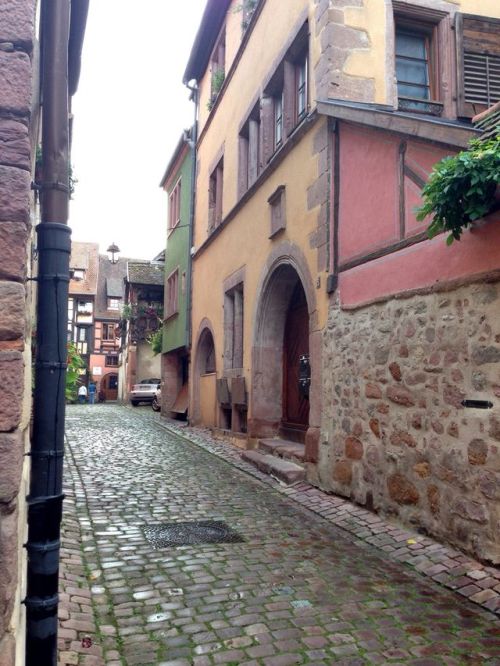 potatozilla: catcocoa: how is this town real Welcome in Alsace, where everything is so fucking cute 