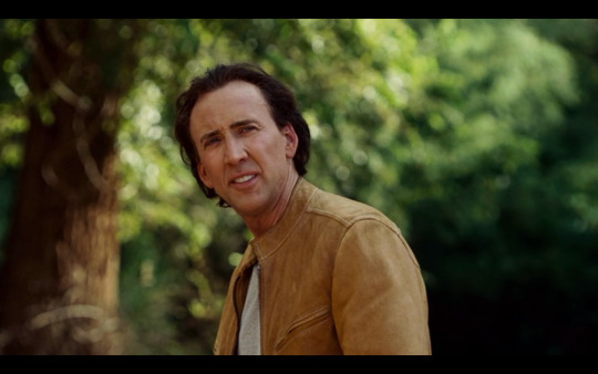 triparto:  aluminum-heart:  aluminum-heart:  i can barely stomach heterosexual relationships in movies let alone heterosexual relationships in movies starring nicolas cage    GJAHDGJADDJAD 