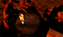 georgeromeros:The Descent (2005) dir. Neil Marshall