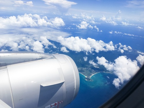 I went to Okinawa for summer break! It&rsquo;s definitely different than the mainland! Loved eve