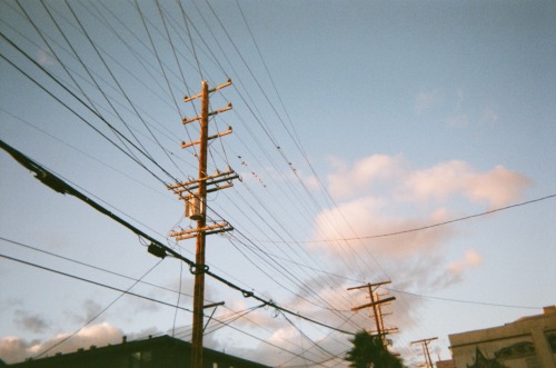 stephroars: colors, Fairfax Avenue disposable camera, november 2015