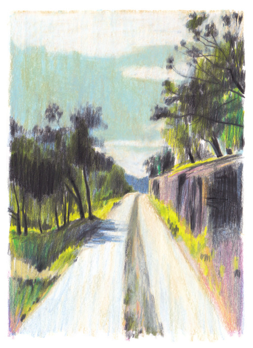 Little sketches from the Cévennes National Park in the South of France...—> More on https:/