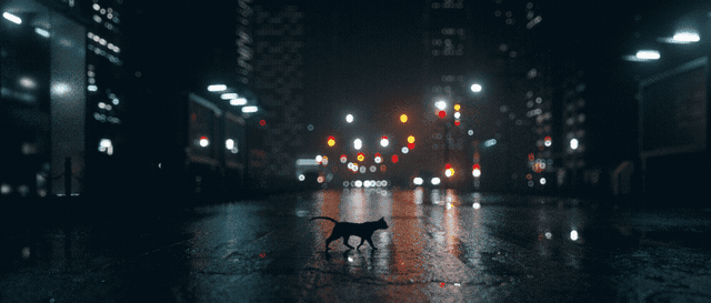 tumblr_okcqttkLBW1u3bn17o1_640.gifv
