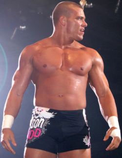 rwfan11:  Tyson Kidd …with a body like that, I can forget about the hair! LOL! :-) 