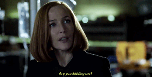 fovmnlder:Mulder &amp; Scully investigate the crime scene