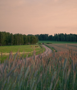 kansas country