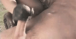 CuriousCassie c: