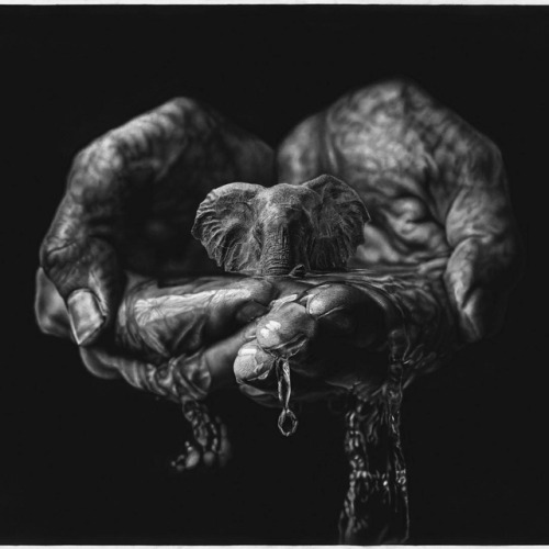 mymodernmet: Artist’s Giant Pencil Drawings Blur the Line Between Hyperrealism and Surrealism