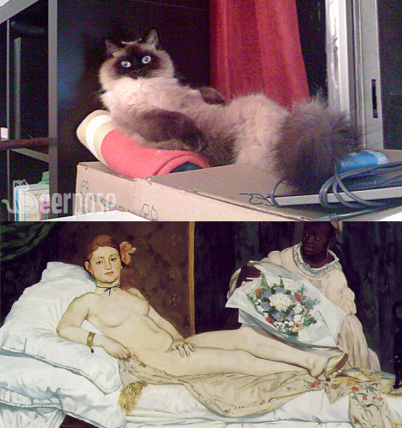 Cats. Where they do not belong.