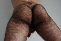 twitching1: moustache35:  Extrem stark behaarte Backside eines geilen Jungbauern 