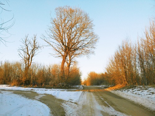 Spring, Even Though We Can't See It, Even Though It's Frozen, It's Already On Its Way // Part 2