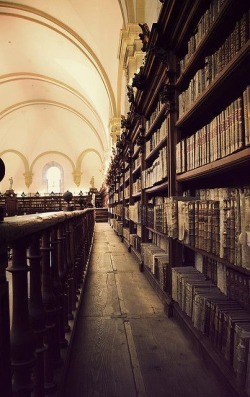 bonitavista:  University of Salamanca, Spain photo via lodewijk 