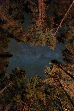 Expressions-Of-Nature:  Small Part Of A Big World By: Jesse Attanasio  