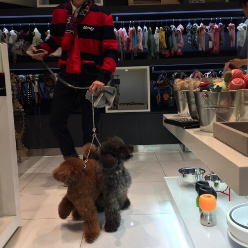romanceboys: (170505) bumkeyktranslation: present