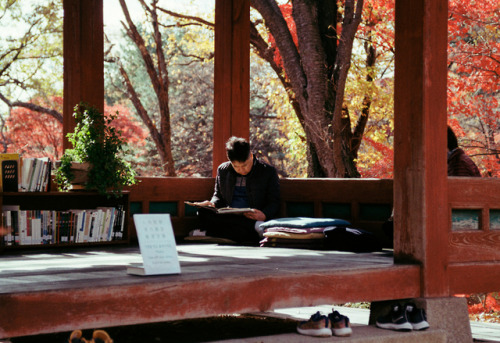 people | south korea, november 2018kodak color plus, kodak gold 200nikon f801nikkor 35mm f/2D