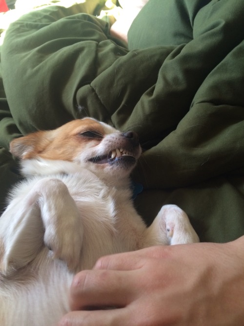 hella-bogus:  what a beauty queen  Who is she