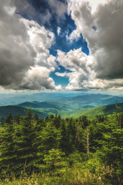 wnderlst:  Clingmans Dome | Aaron Sorrell