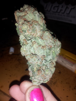 high-vibbes:  picked the prettiest nug from