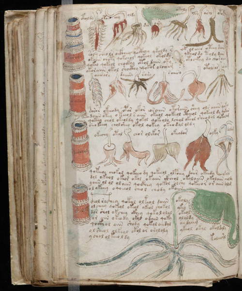 Voynich Manuscript BreakthroughBedfordshire University&rsquo;s Stephen Bax says he has deciphere