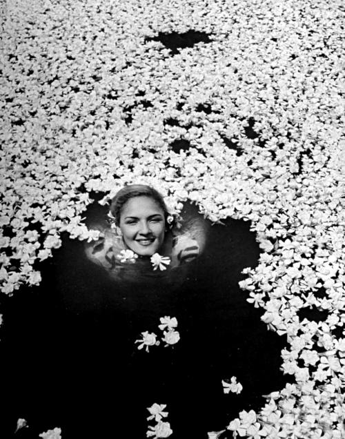 onlyoldphotography: Eliot Elisofon: Young girl swimming in pool covered with gardenia blossoms. Mexi