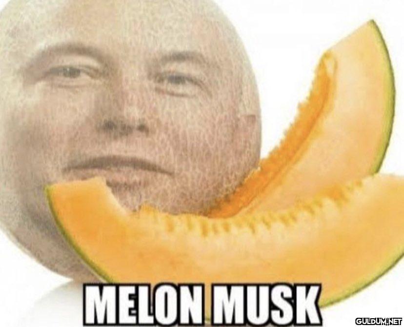 MELON MUSK   Kaynak