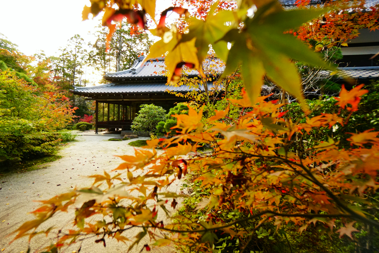chitaka45:京都 南禅寺 天授庵 🍁紅葉2018🍁 kyoto nanzenji tenjuam temple