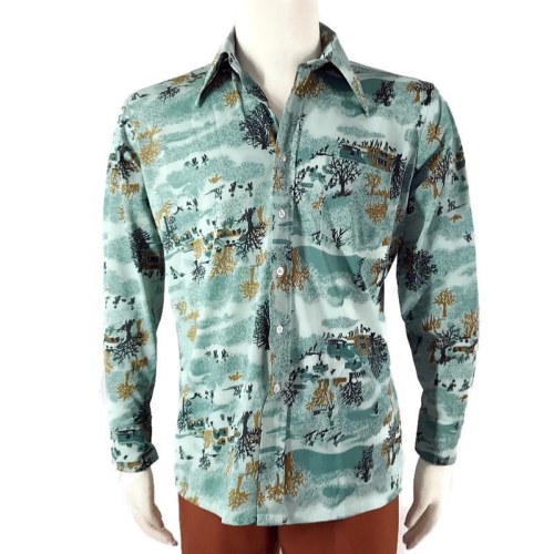 Scenic print 70s Link in profile or DM to purchase#vintage70s #mintgreen #polyestershirt #1970sshi