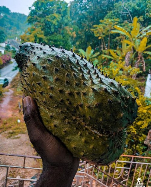 What do you call this in your country?