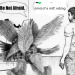 suddenlyoranges: