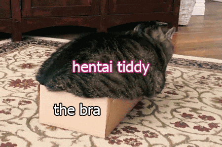 toastmgoats: cursedcatimages:    How dare u not post the whole gif 
