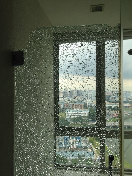 365 Day 16, 16 Nov 2014: Broken glass door.