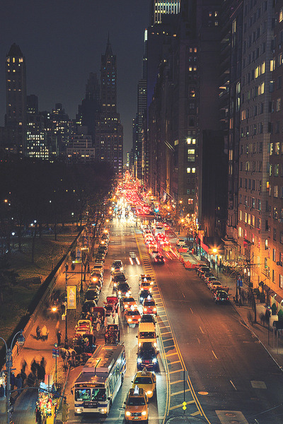 silly-luv:  ♡ find your best posts on my blog ♡