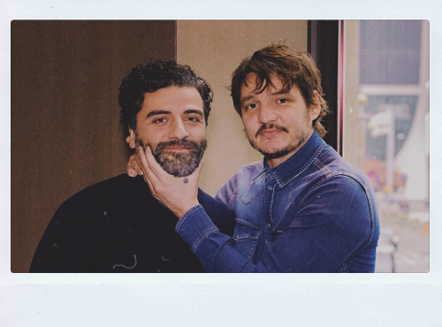 ewan-mcgregor:“Amordemivida” - Pedro Pascal about Oscar Isaac