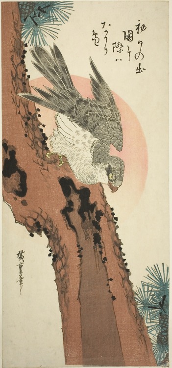 aic-asian: Falcon on a Pine Tree with the Rising Sun, Utagawa Hiroshige, 1830, Art Institute of Chic