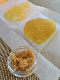 coralreefer420:  Seshed with the Budfolio team today and dabbed up some crumble. 