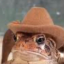 thefrogofyeehaw
