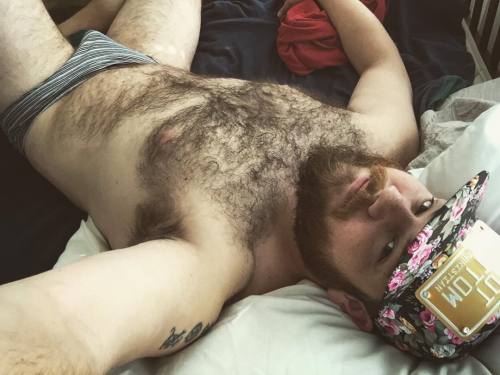 Gay Woodland Creatures & Friends