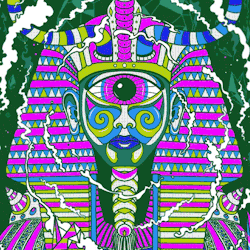 We Are The Cosmos