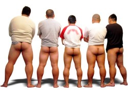 alwaysbeenstocky:  mybear78:  keahimakua:  husky japanese butts  Love them all!  Megaspornstash needs to see this. Like now. ;) 