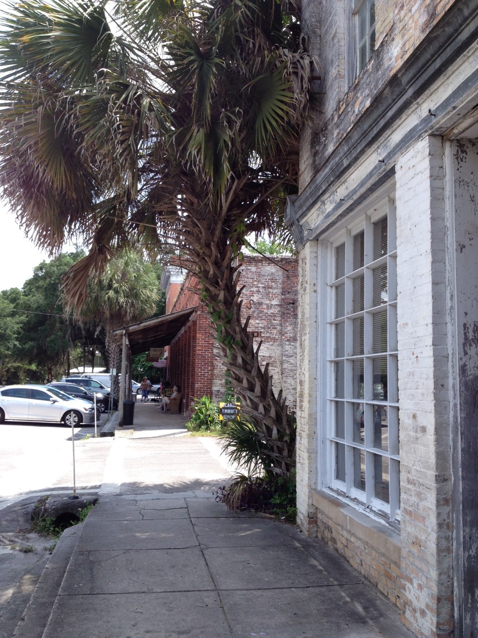 oldflorida:  North Central Florida